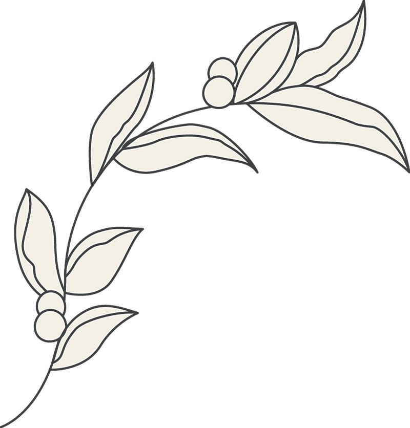 Belleza-droguería-perfumería-fondo
